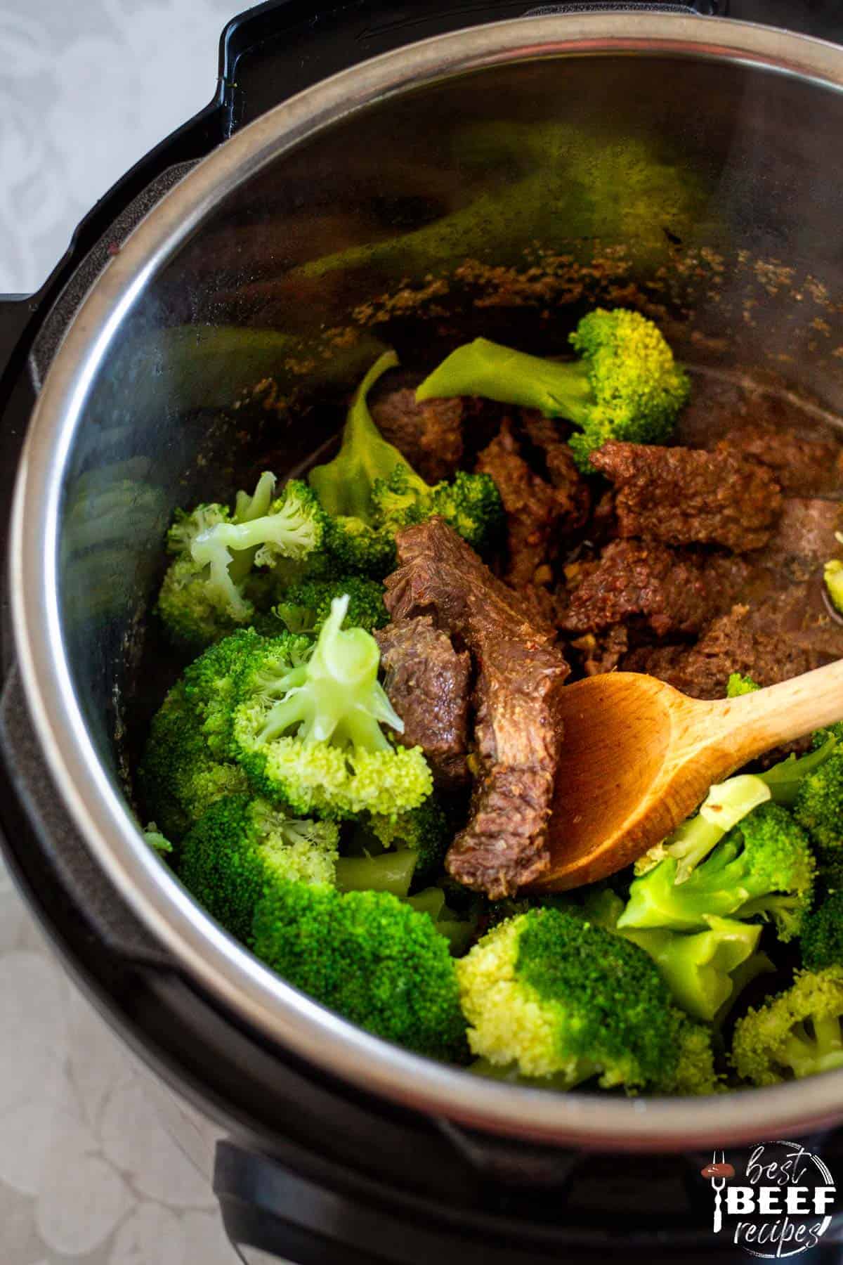 Instant Pot Beef and Broccoli Best Beef Recipes