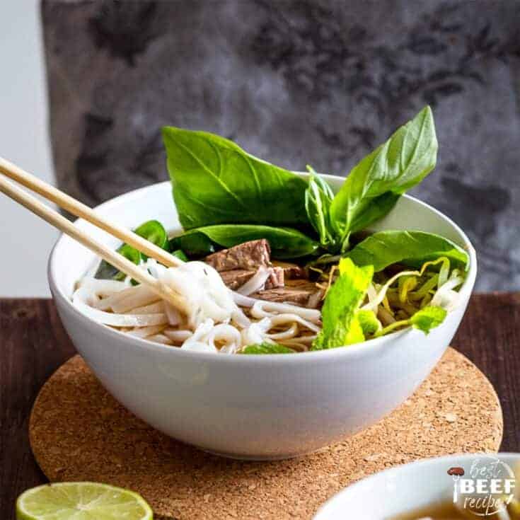 Instant Pot Beef Pho Recipe Best Beef Recipes
