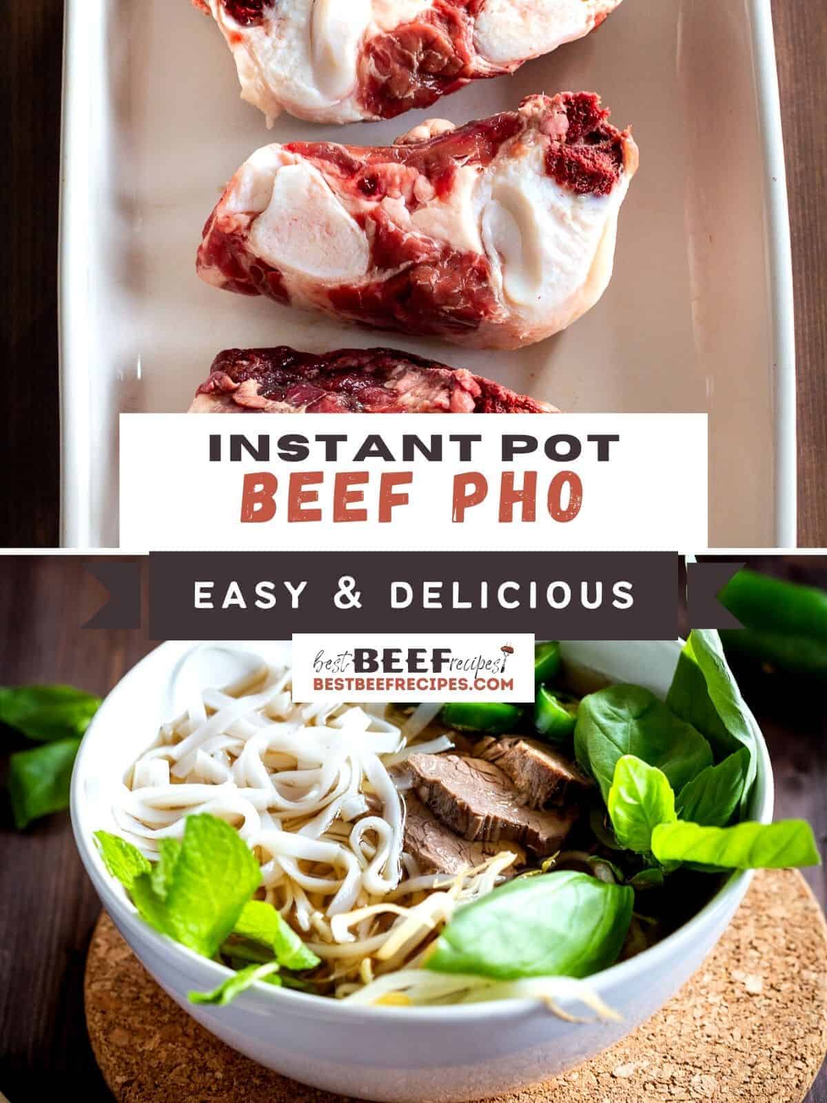 Instant pot beef pho cover image