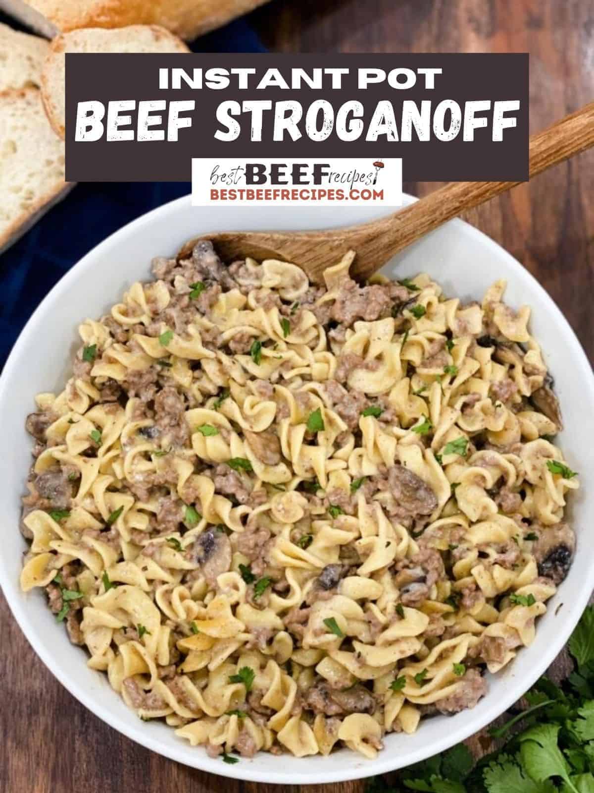 Instant pot beef stroganoff in a bowl