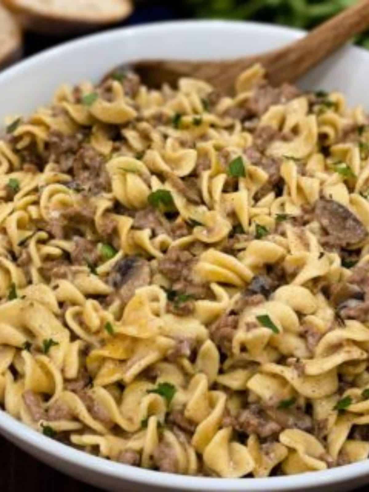 beef stroganoff with egg noodles in a white bowl.