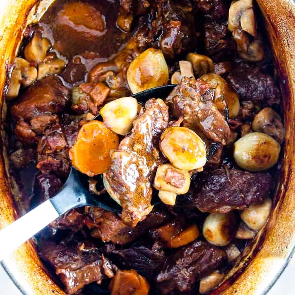 Beef burgundy stew in a pot