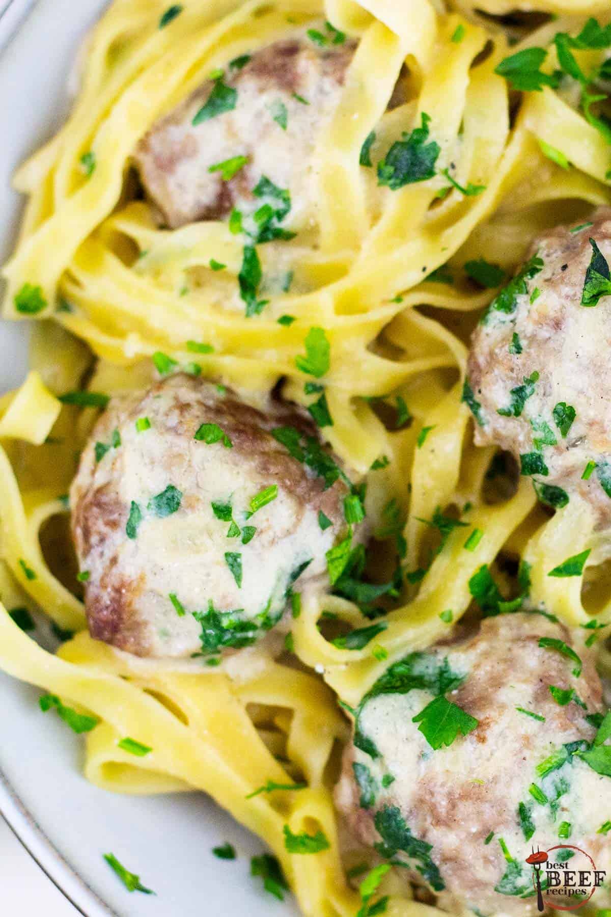 swedish meatballs, egg noodles and sauce on a white plate