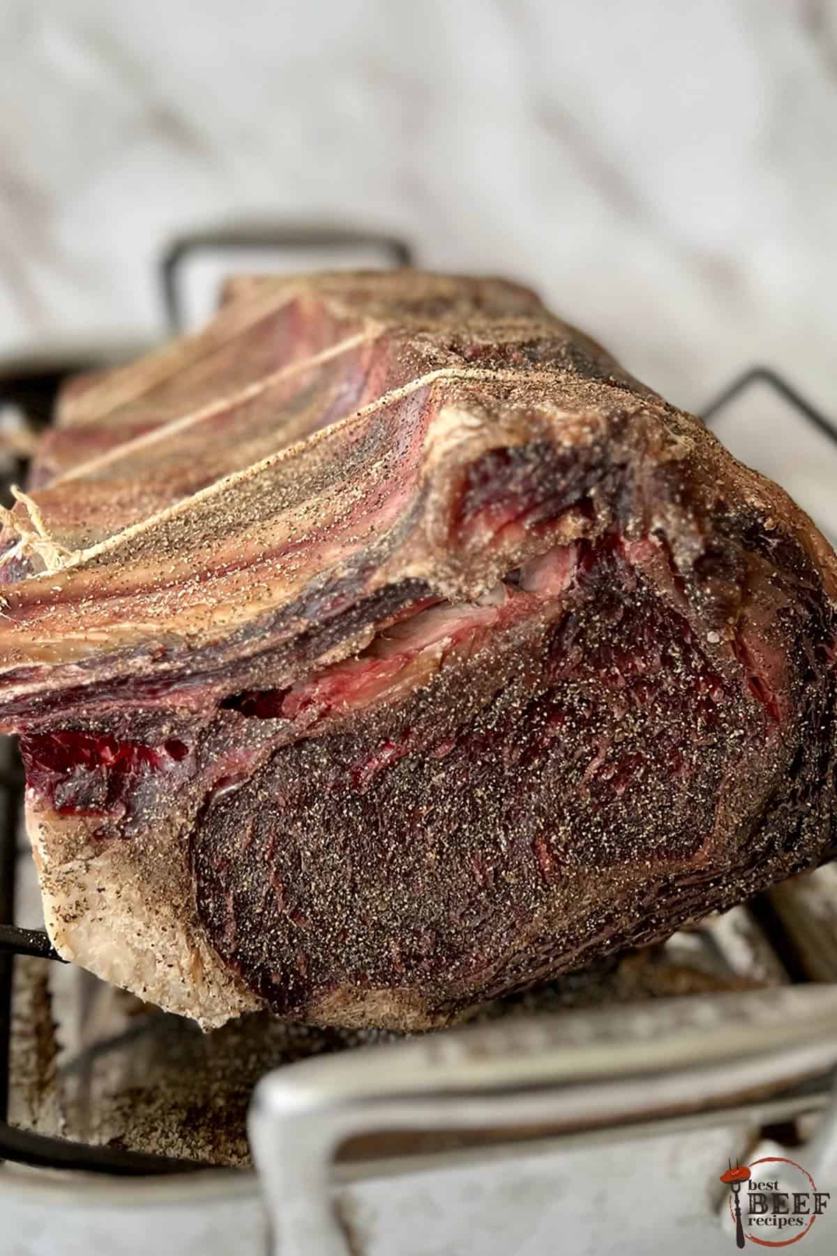 dry aged prime rib on a rack to show darkened colors
