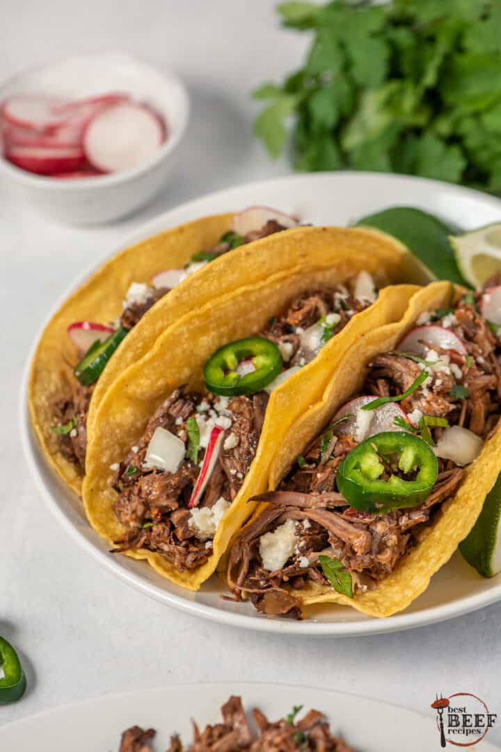 Barbacoa | Best Beef Recipes