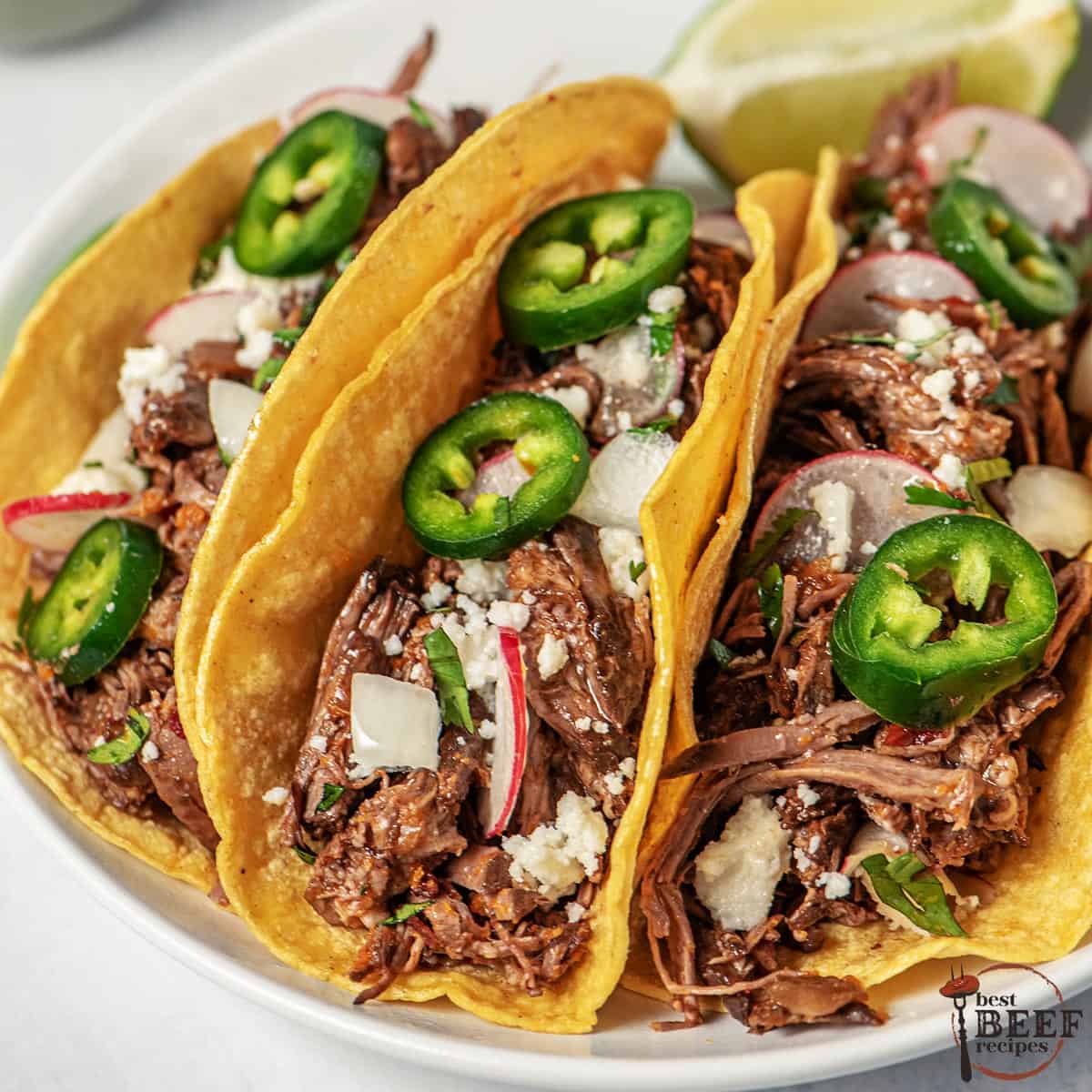 three filled barbacoa tacos on a plate with japaleno slices