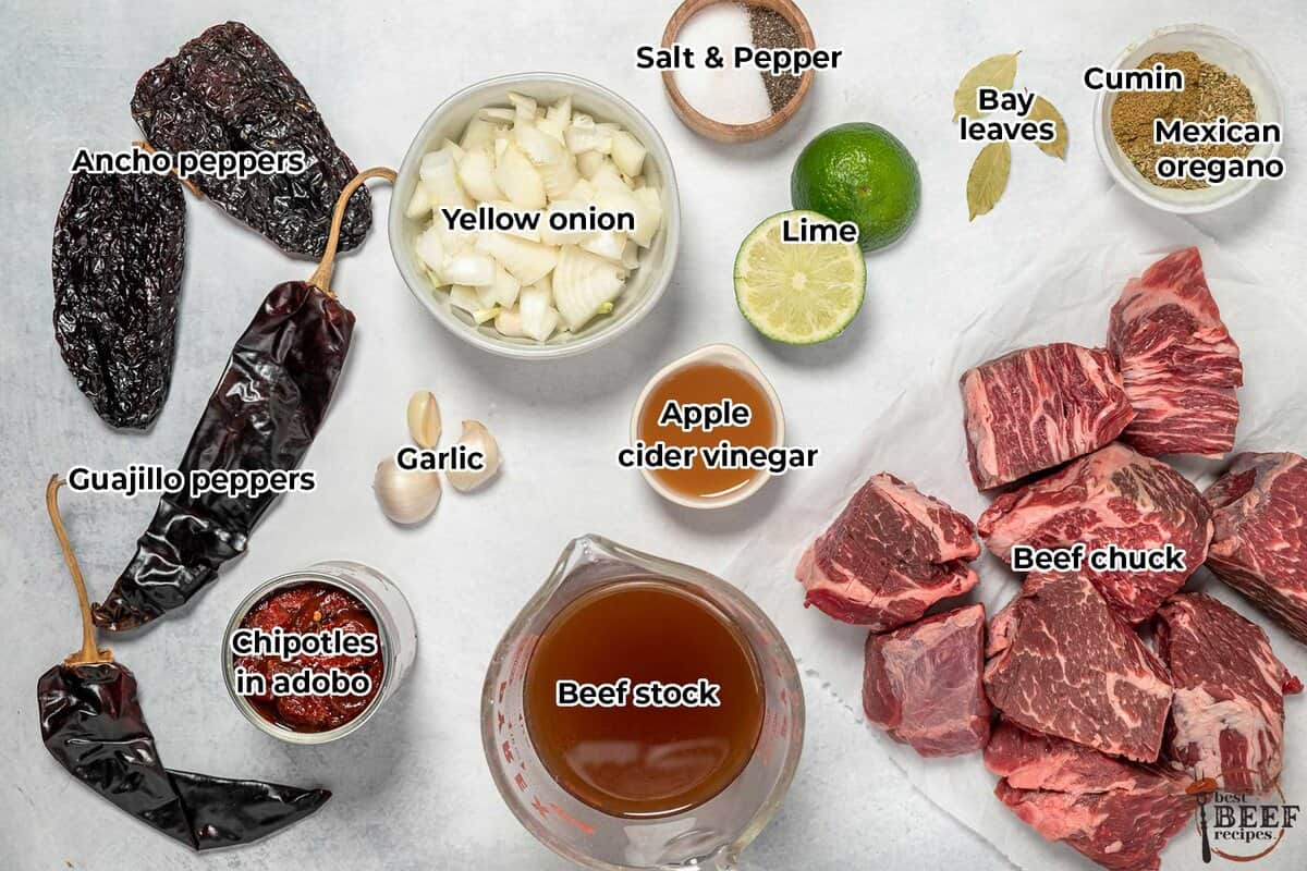 all the ingredients for barbacoa tacos with labels
