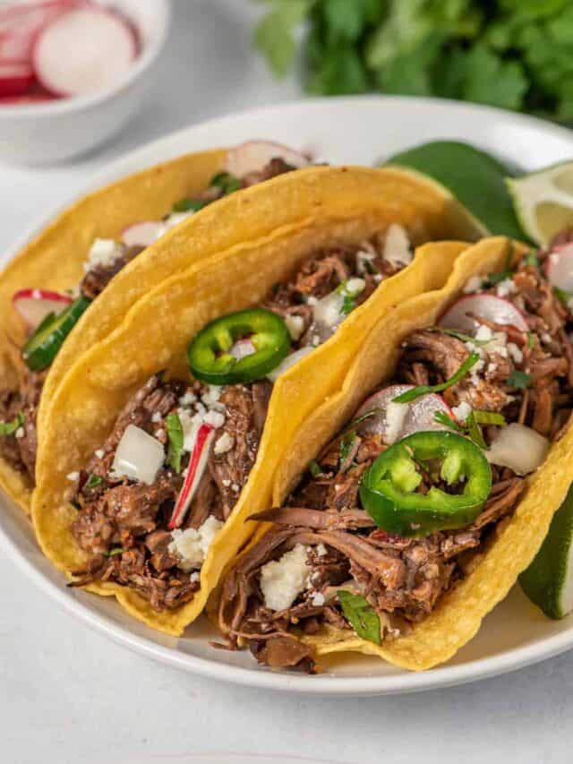 barbacoa tacos on a white plate next to extra fillings