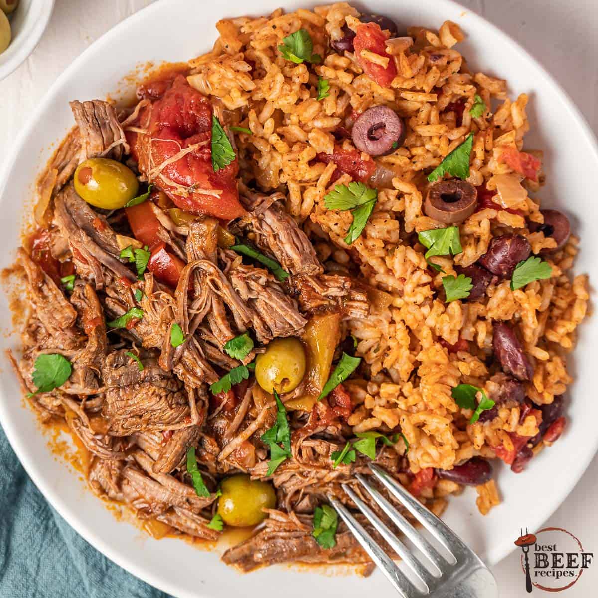 a closeup of a dinner plate filled with ropa vieja, beans, and rice, with cilantro topping