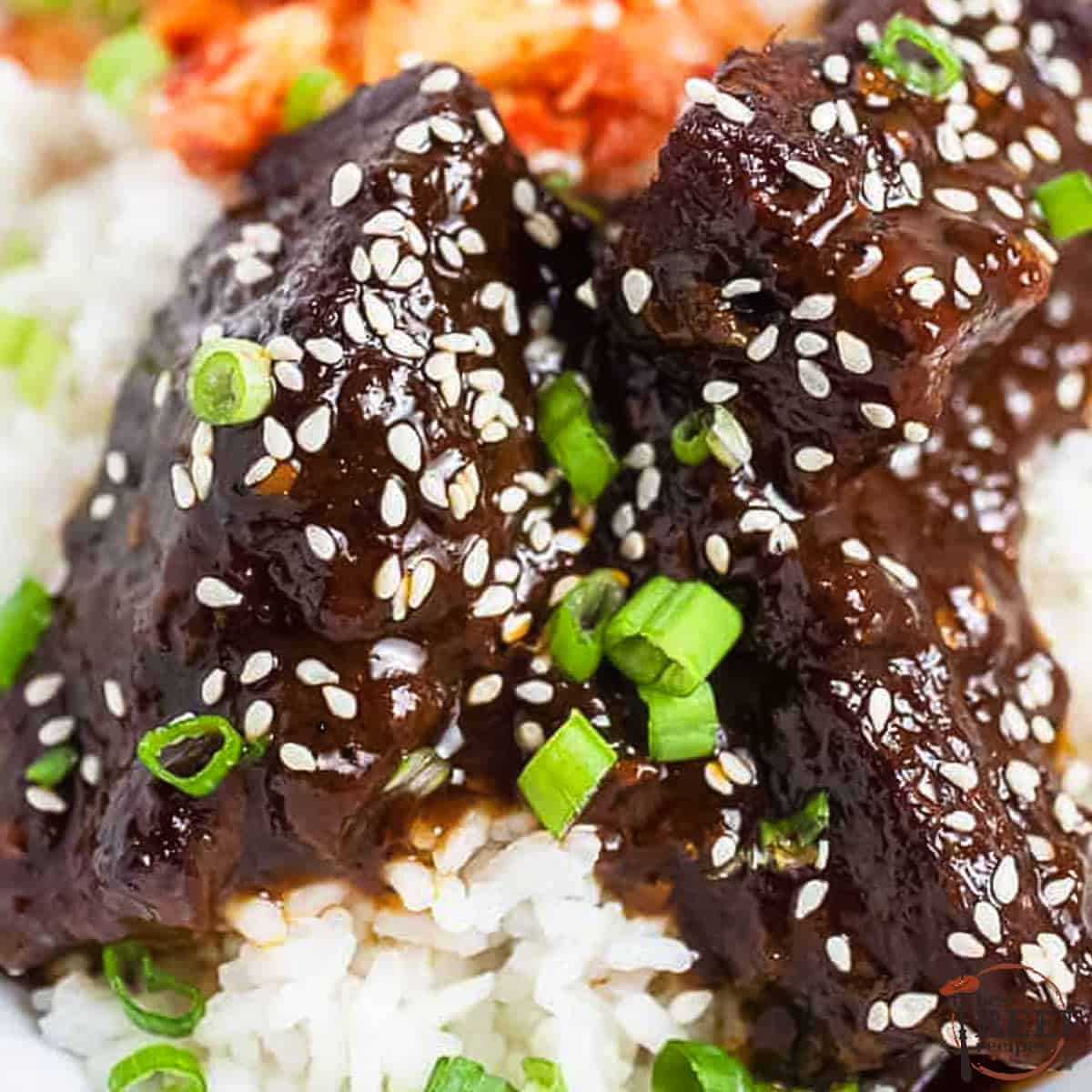 marinated short ribs on rice with sesame seeds and green onion