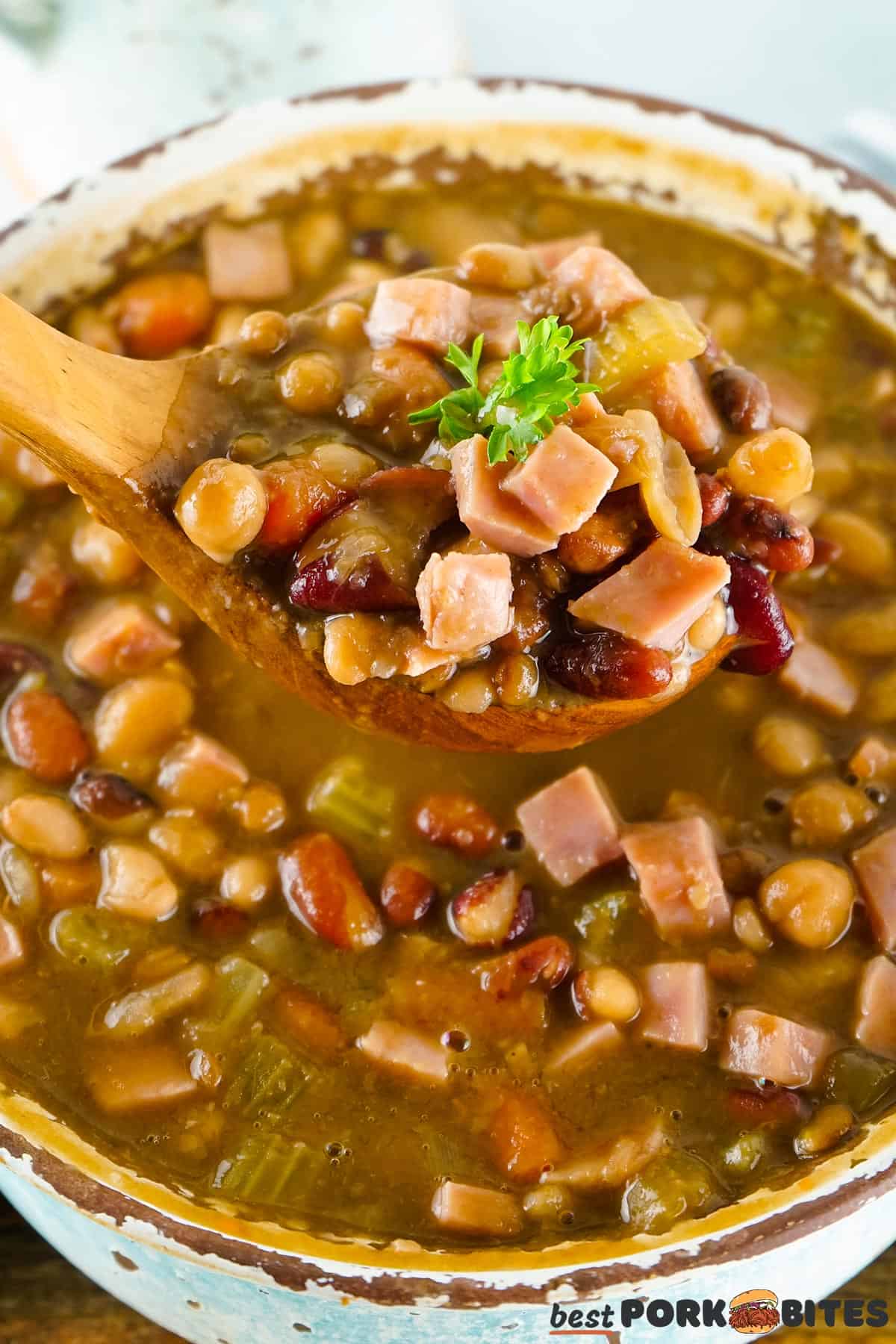 a spoon full of soup over a pot of ham and bean soup
