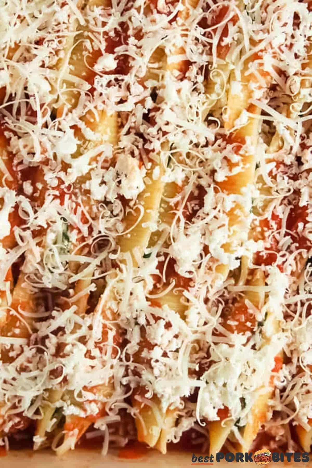pasta shells layered in a dish with cheese on top