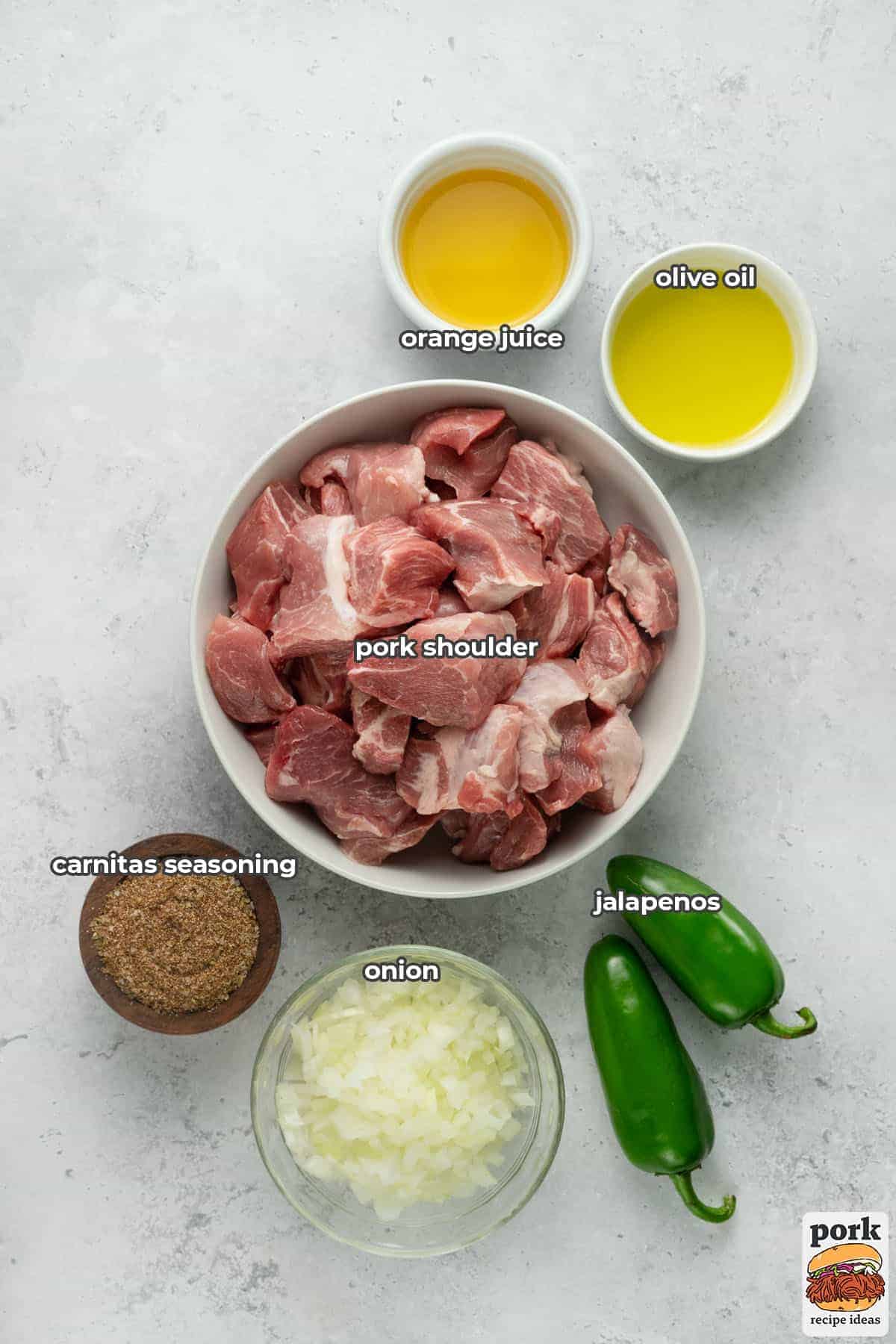 all the ingredients for carnitas in bowls with labels