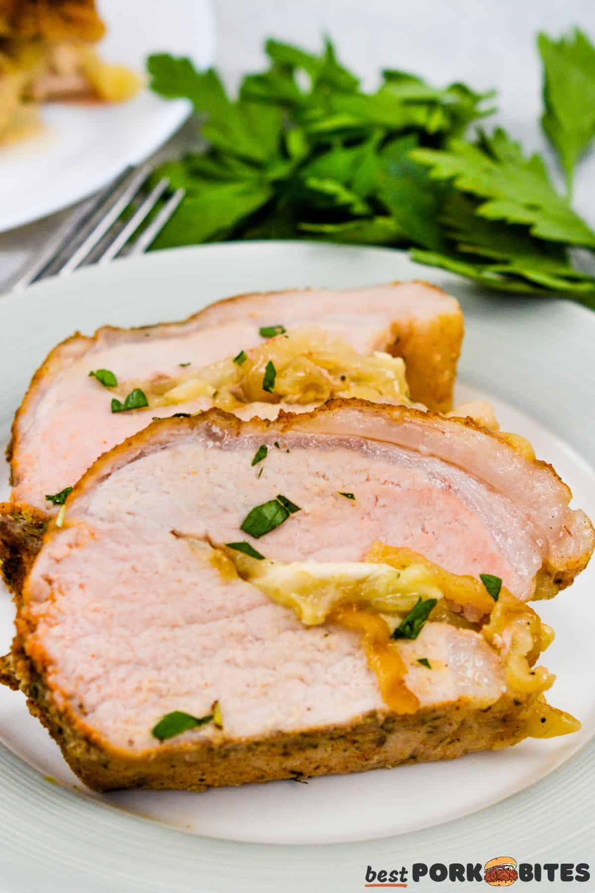 a white dish with two slices of stuffed pork tenderloin and cilantro in the back
